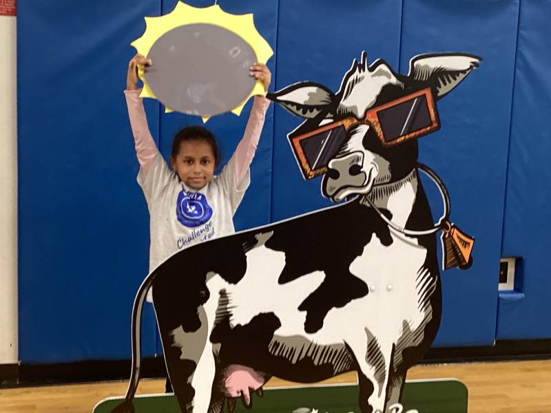 BCSD student with Genny the cow