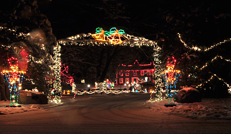 Fargo Rd Christmas Lights 2022 The Disalvos Are Skipping This Year's Christmas Light Spectacular On Fargo  Road, Stafford | The Batavian