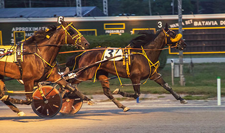 harness racing | The Batavian