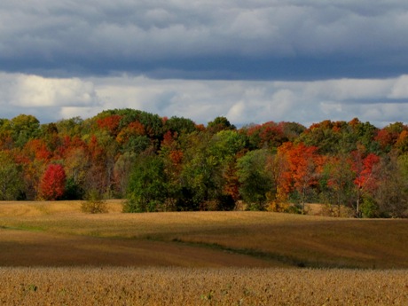 Autumn pastoral: photos of the October countryside | The Batavian