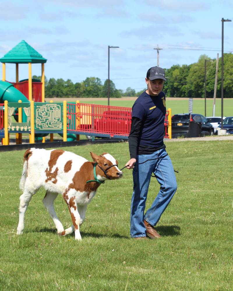 bb-farm-day_deleo-with-cow.jpg