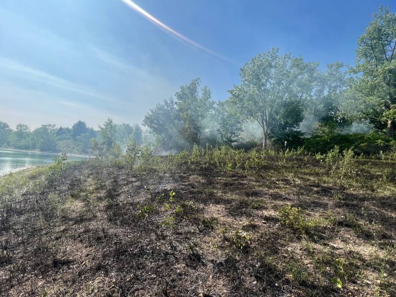 DeWitt brush fire 6/4/23