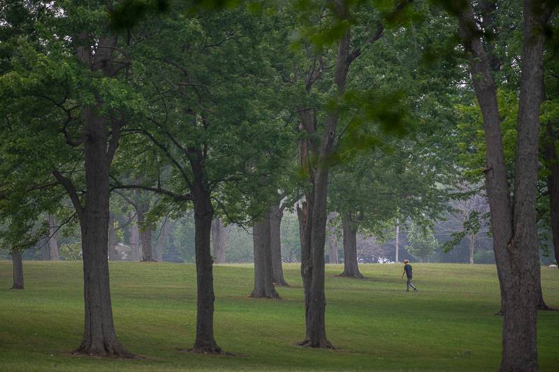 centennial park smoke haze