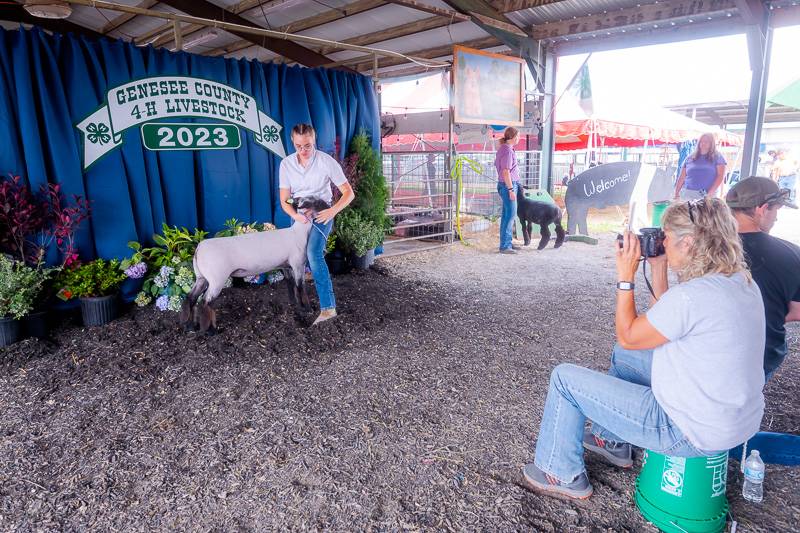 4-H Livestock Genesee County Fair