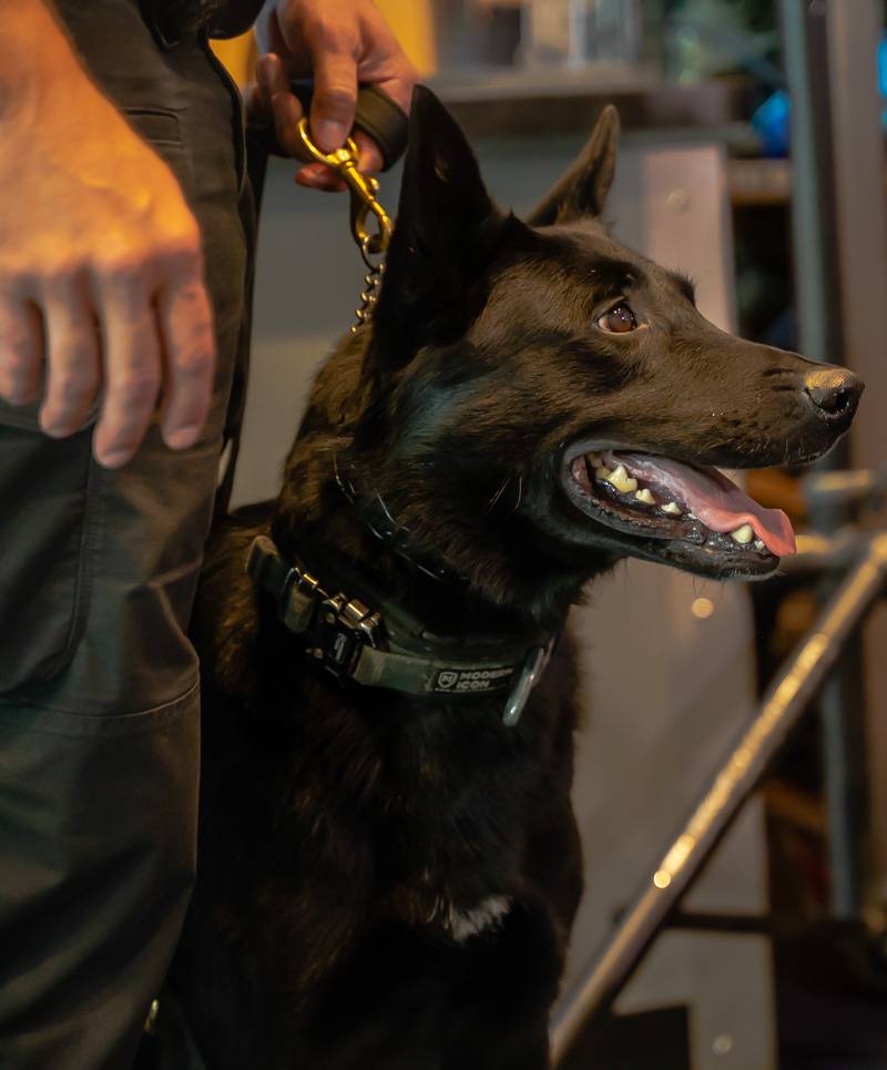 Batavia downs K-9 donation