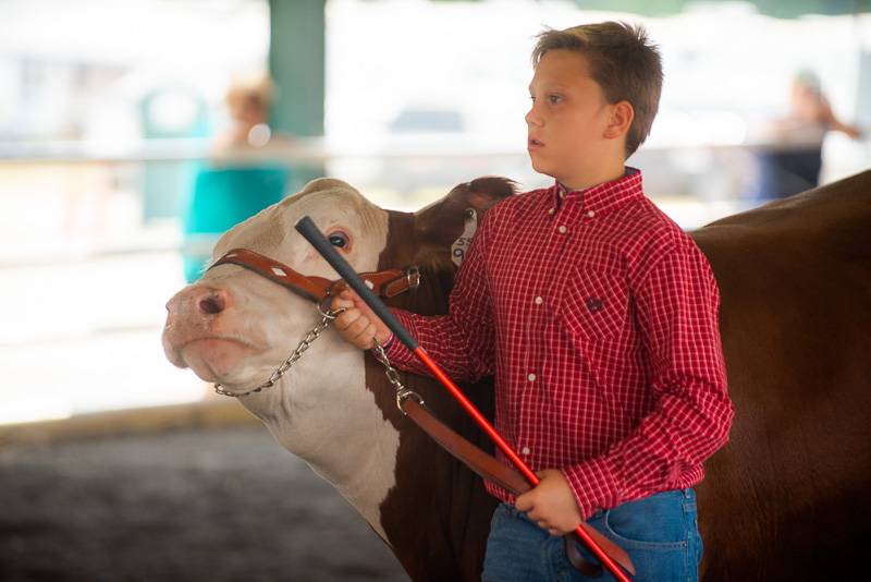 genesee county fair 2018