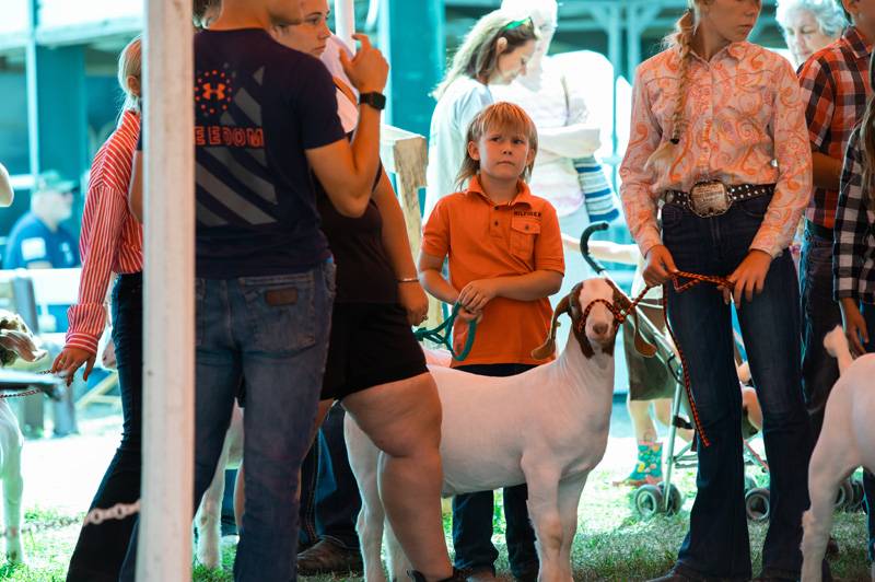 Editor's Note: The Batavian has a booth at the fair in partnership with WBTA as part of the official Genesee County Fair Media Center. Stop by to say hello and enter our eagle-drawing contest in the Exhibition Building. We are an exhibitor and are providing coverage of the fair all week long as a proud supporter of the county fair, 4-H and the dedicated volunteers of the Ag Society.   If you appreciate our fair coverage, as well as all of our coverage of Genesee County, you can help us continue news coverag