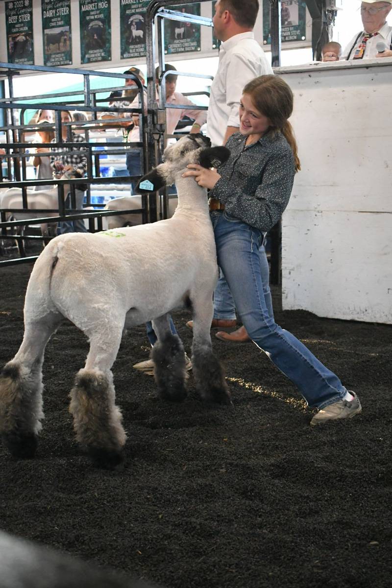 4-h livestock auction genesee county fair