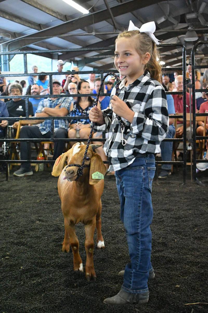 4-h livestock auction genesee county fair