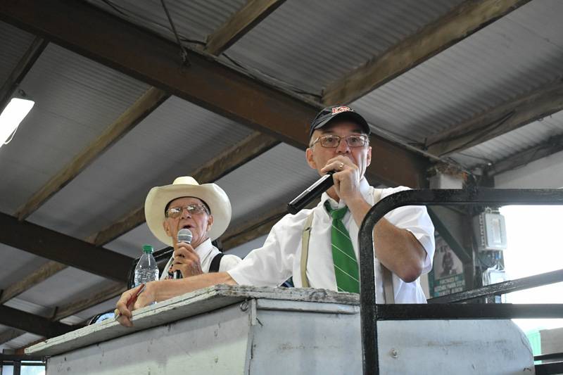 4-h livestock auction genesee county fair