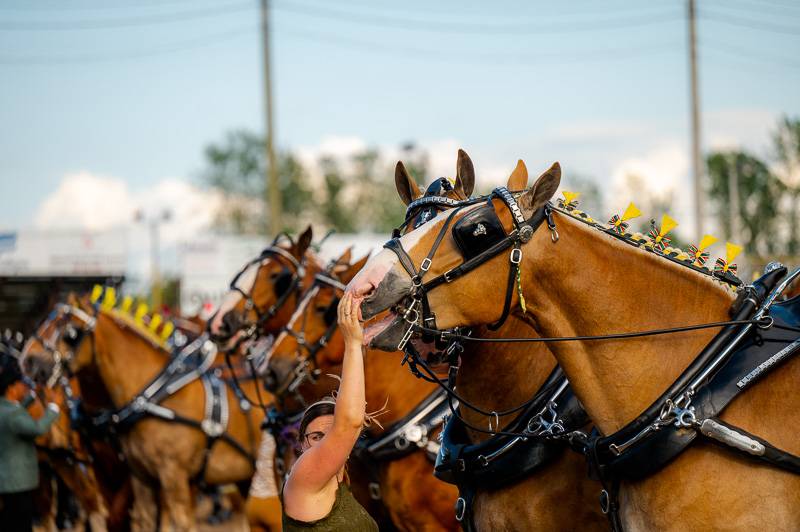 Team from Wyoming wins SixHorse Hitch Classic Series competition at