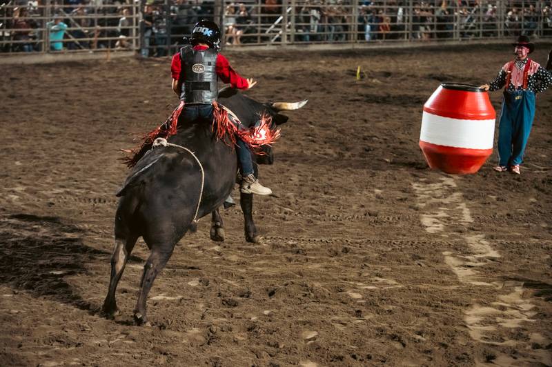 attica rodeo