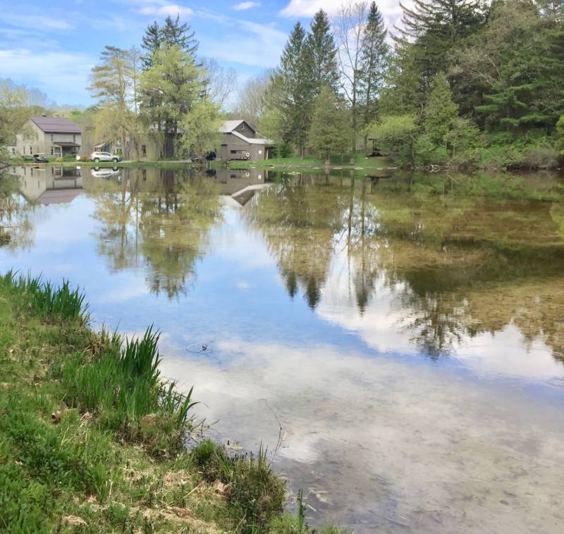 Chapin Pond