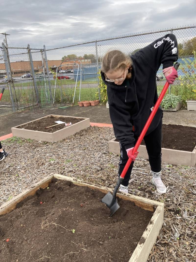 BHS student digging at garden