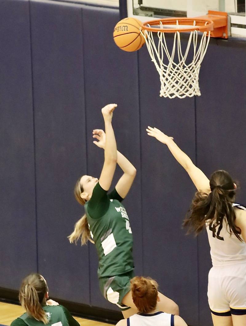 callie and amelia mcculley basketball