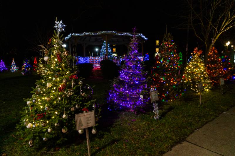 Memorial Park, Oakfield Photo by Steve Ognibene