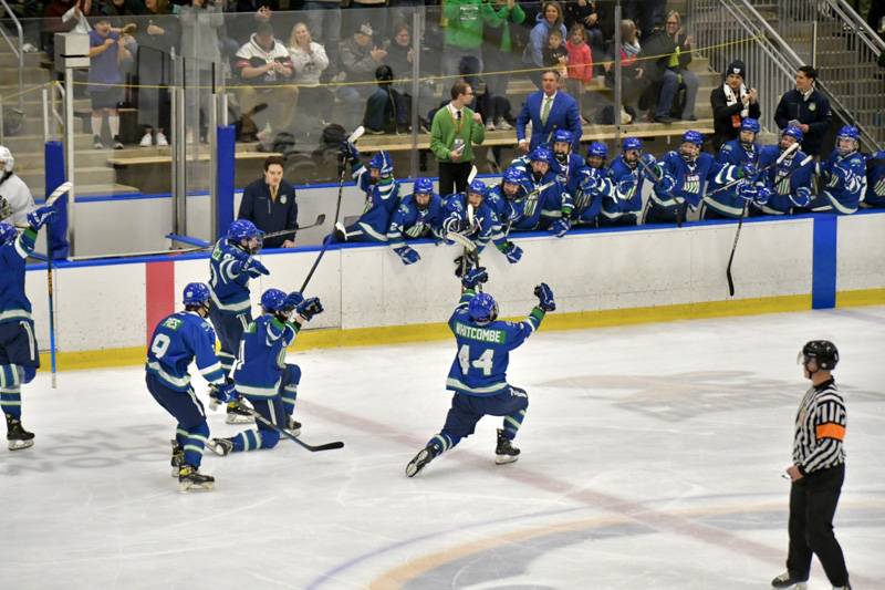 batavia notre dame united hockey state semifinals