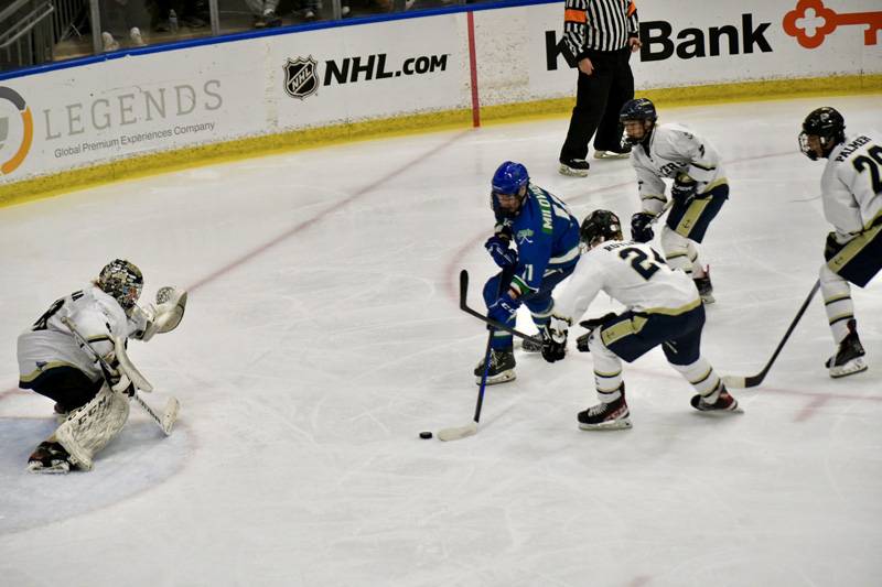 batavia notre dame united hockey state semifinals