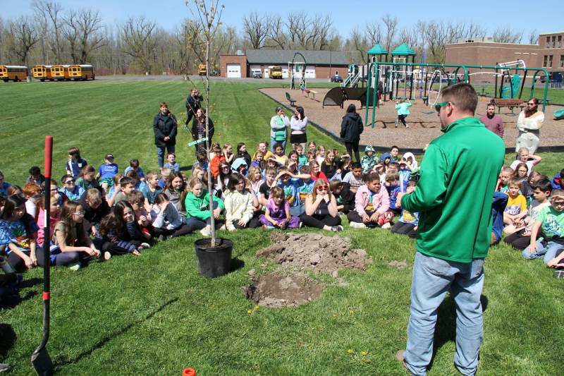 3rd-and-4th-graders-red-maple-tree.jpg