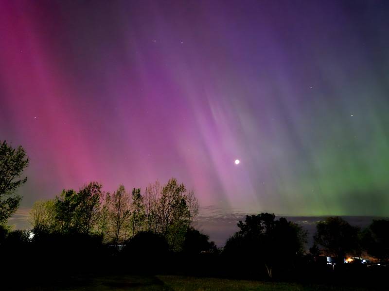 northern lights frank capuano