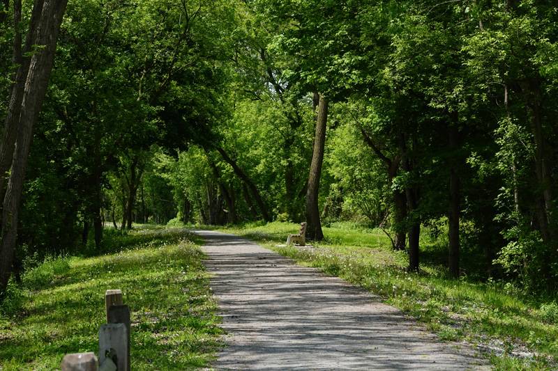 dewitt recreation and ellicott trail