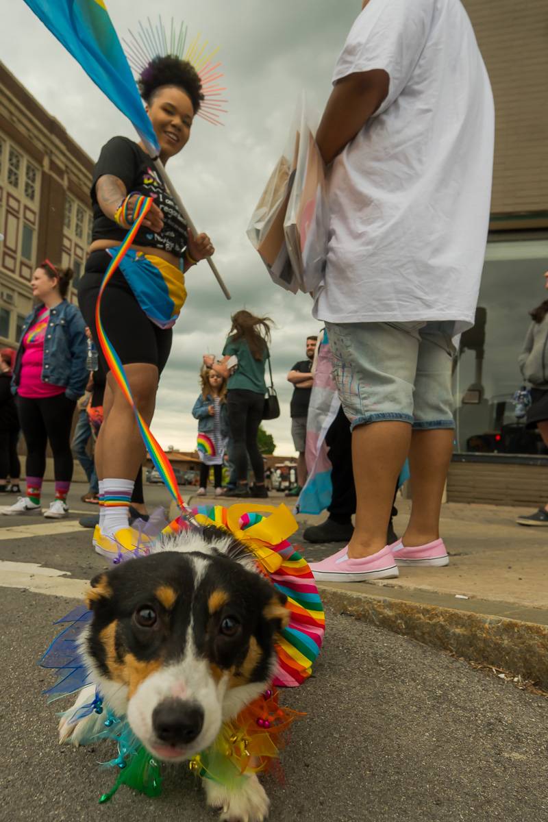 batavia pride parade