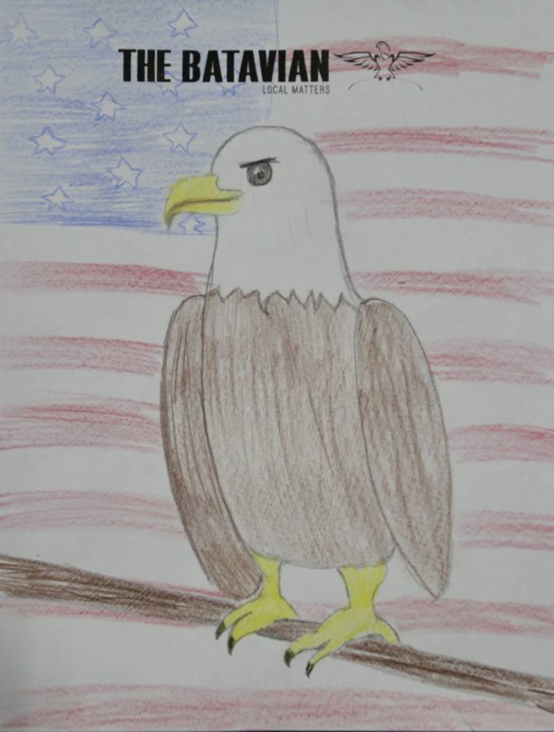 eagle drawing contest