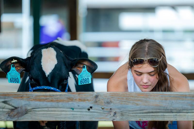 GC Fair photo with girl and cow