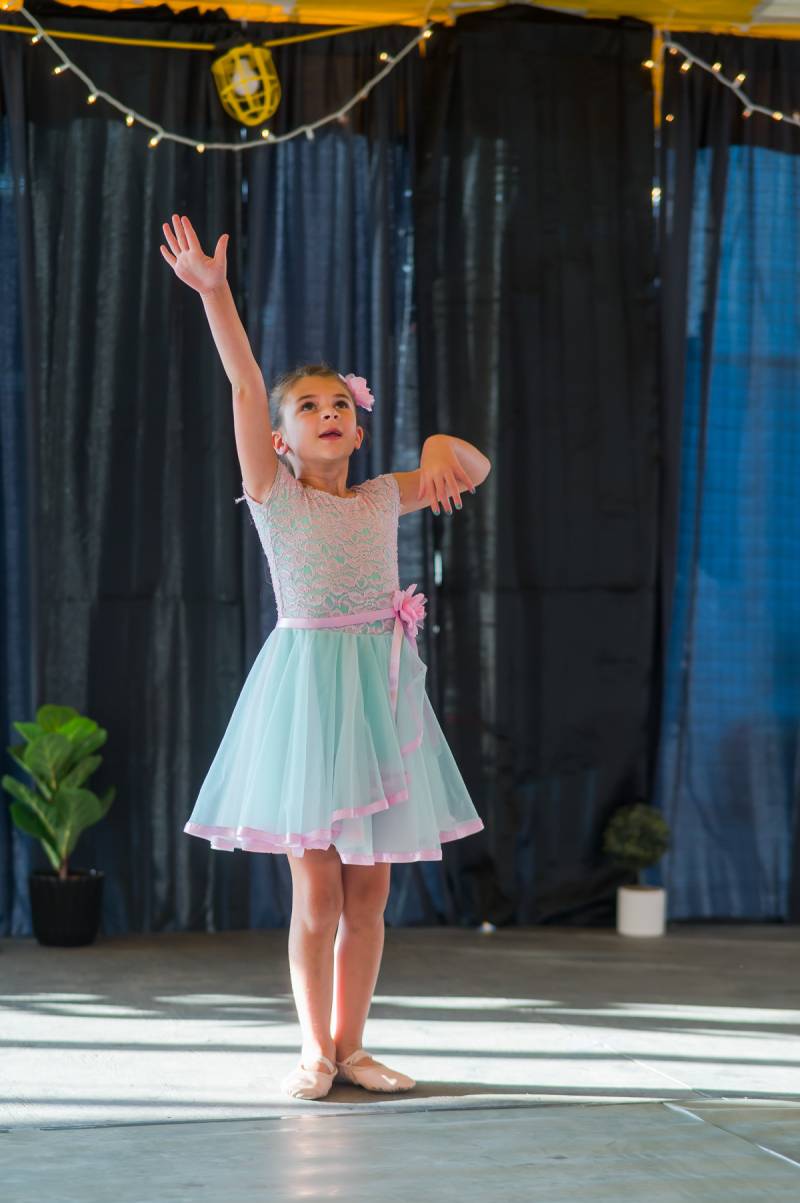 genesee county fair queen competition