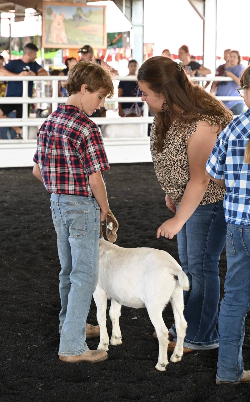 goat show 4-h fair