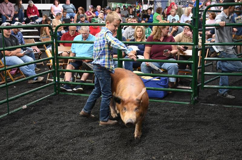 4-H Livestock Genesee County Fair