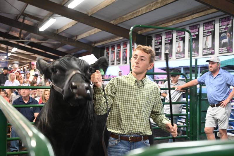 4-H Livestock Genesee County Fair