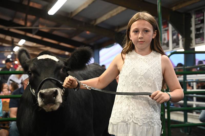 4-H Livestock Genesee County Fair