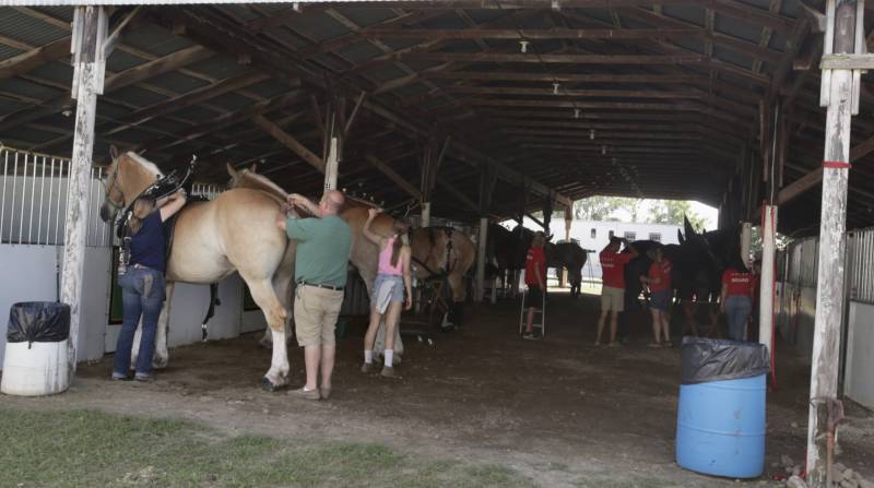 Genesee County Fair