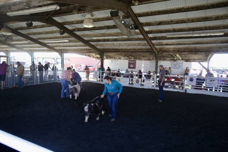 Genesee County Fair