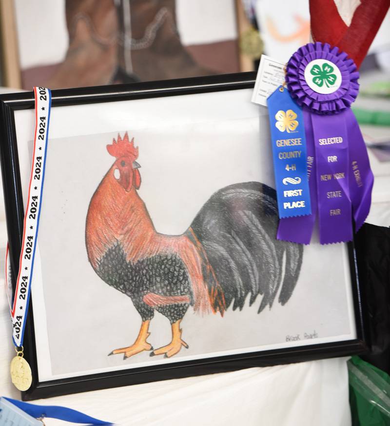 arts and crafts genesee county fair