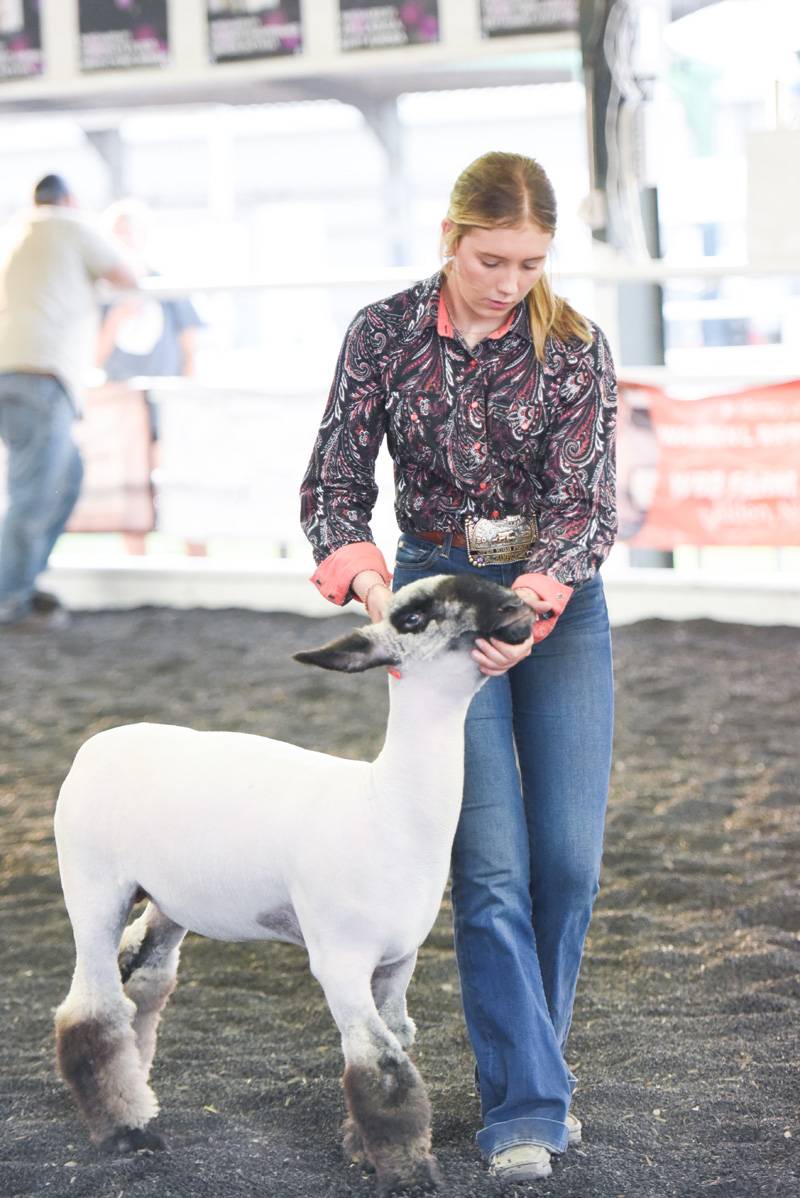 genesee county fair saturday