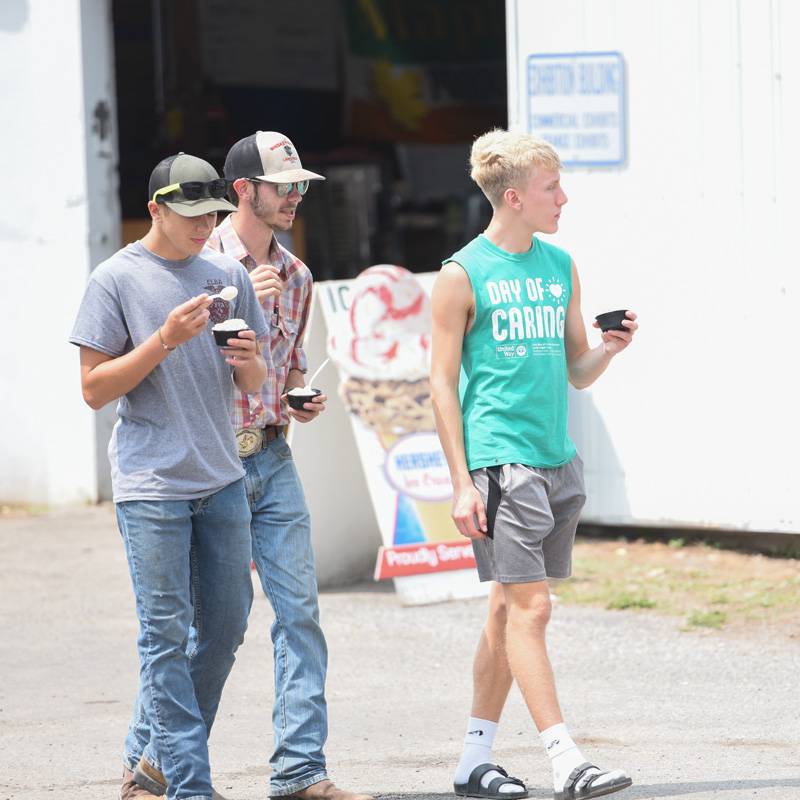 genesee county fair