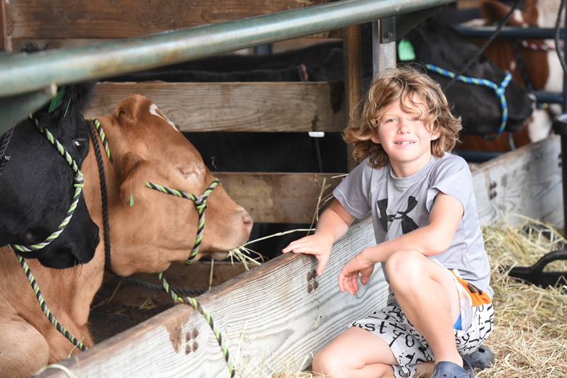 genesee county fair