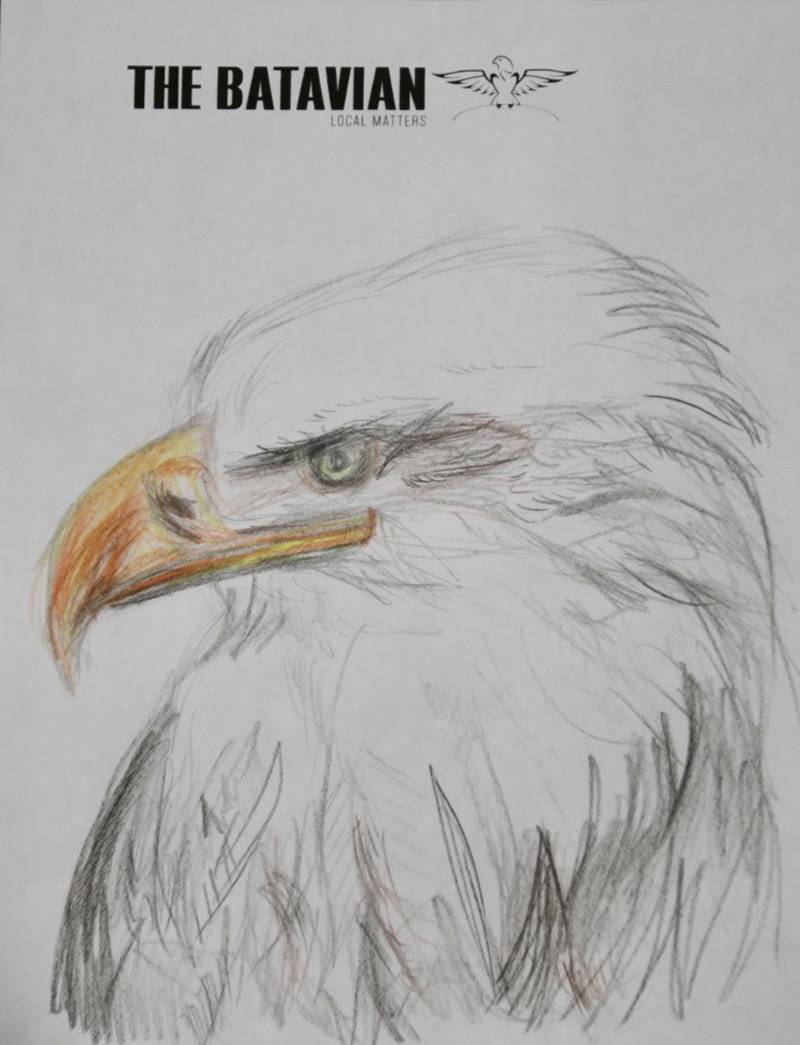 eagle drawing contest