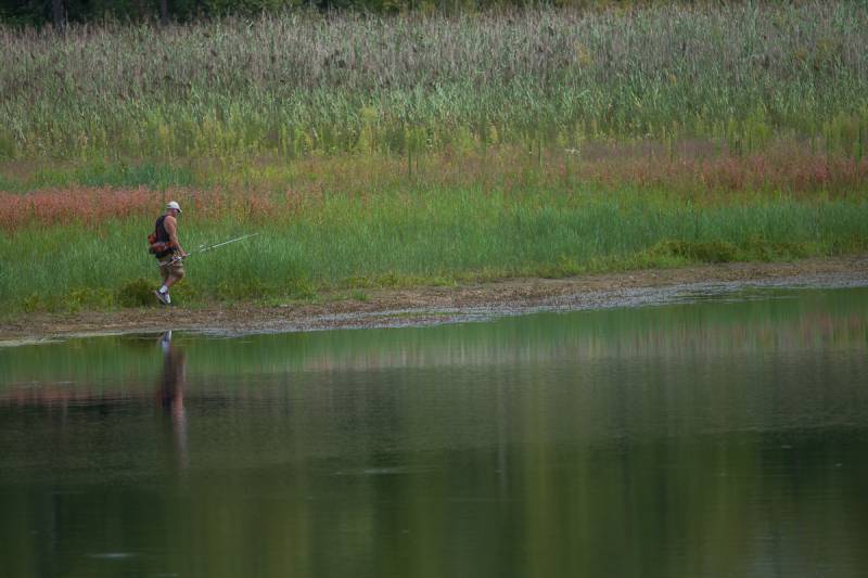 dewitt water levels