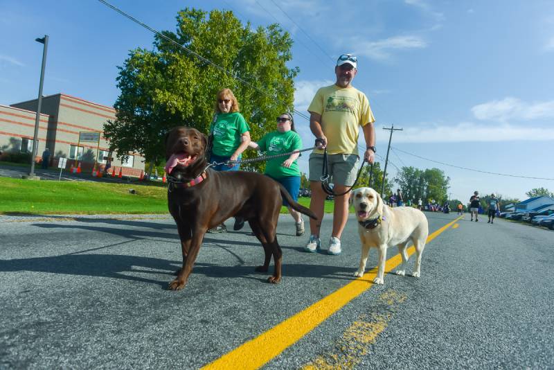 arc friends and family 5k