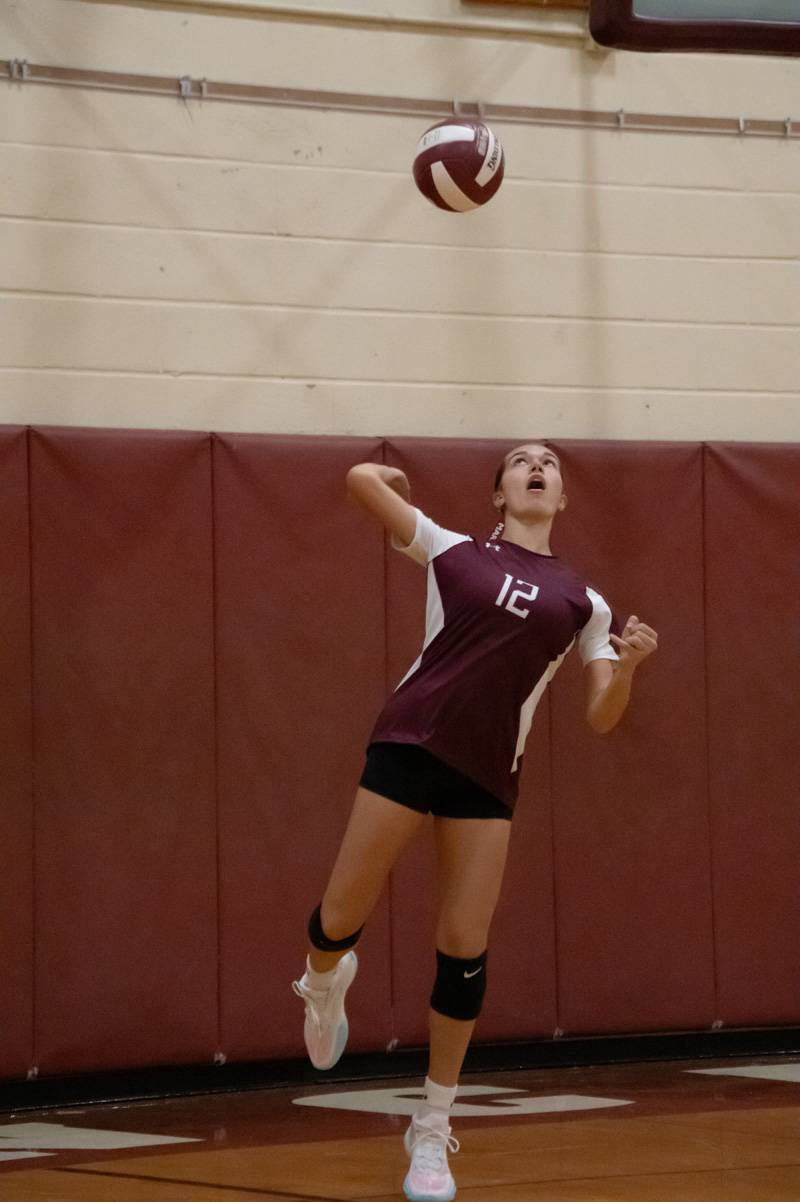 elba girls volleyball