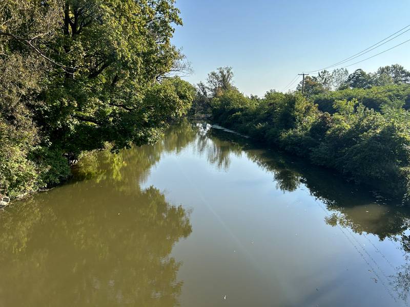 ellicott trail