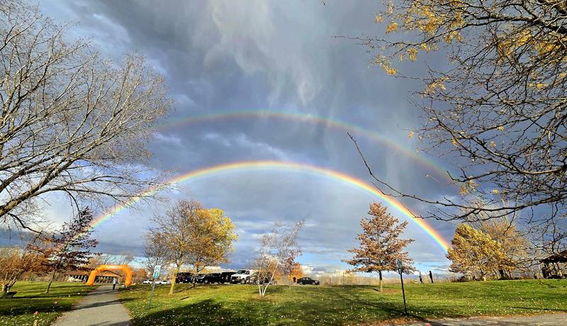 dewitt rainbow