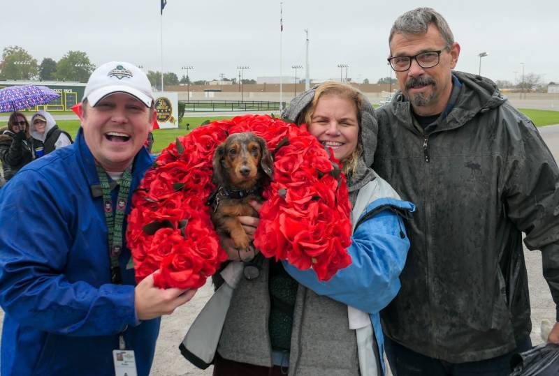 Fred wiener dog race winner