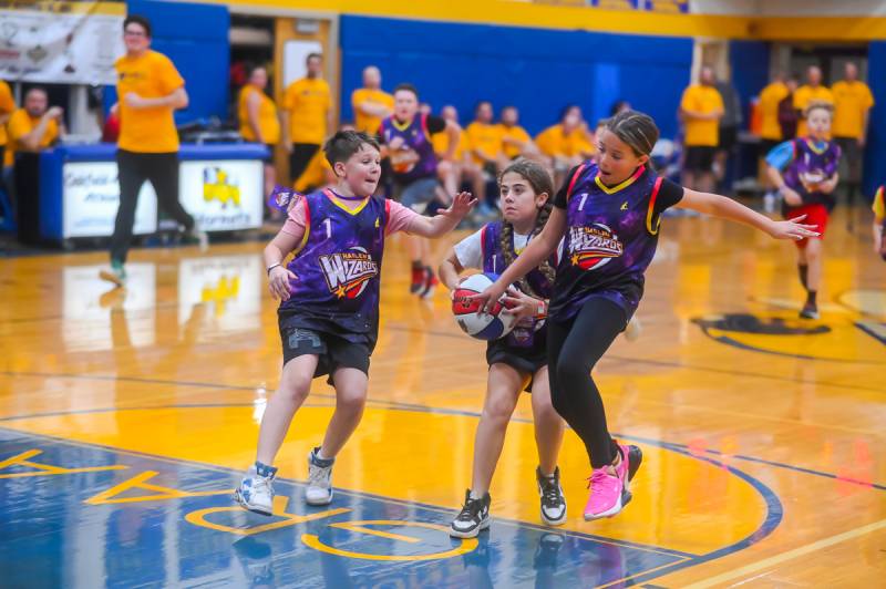 harlem wizards at OA