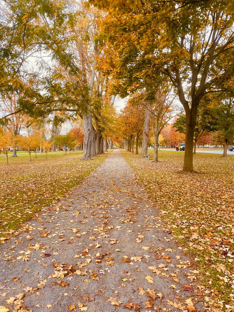 fall centennial park