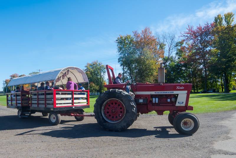 upstate niagara cooperative family farm fest