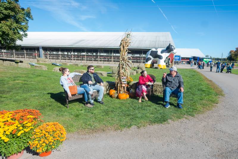 upstate niagara cooperative family farm fest